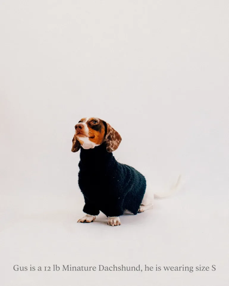 Boucle Dog Sweater in Black (FINAL SALE)