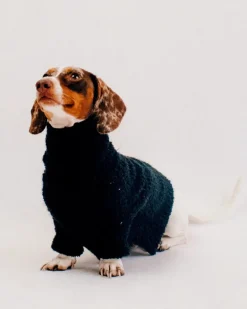 Boucle Dog Sweater in Black (FINAL SALE)