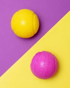 Boundr™ Squishy Dog Ball (2-Pack)