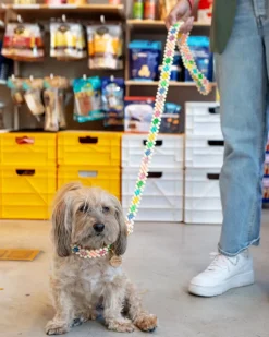 Broadway Beaded Dog Leash in Matinee (Made in the USA)