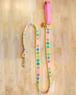 Broadway Beaded Dog Leash in Matinee (Made in the USA)