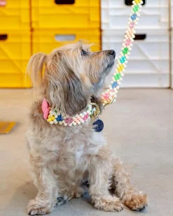 Broadway Beaded Dog Leash in Matinee (Made in the USA)