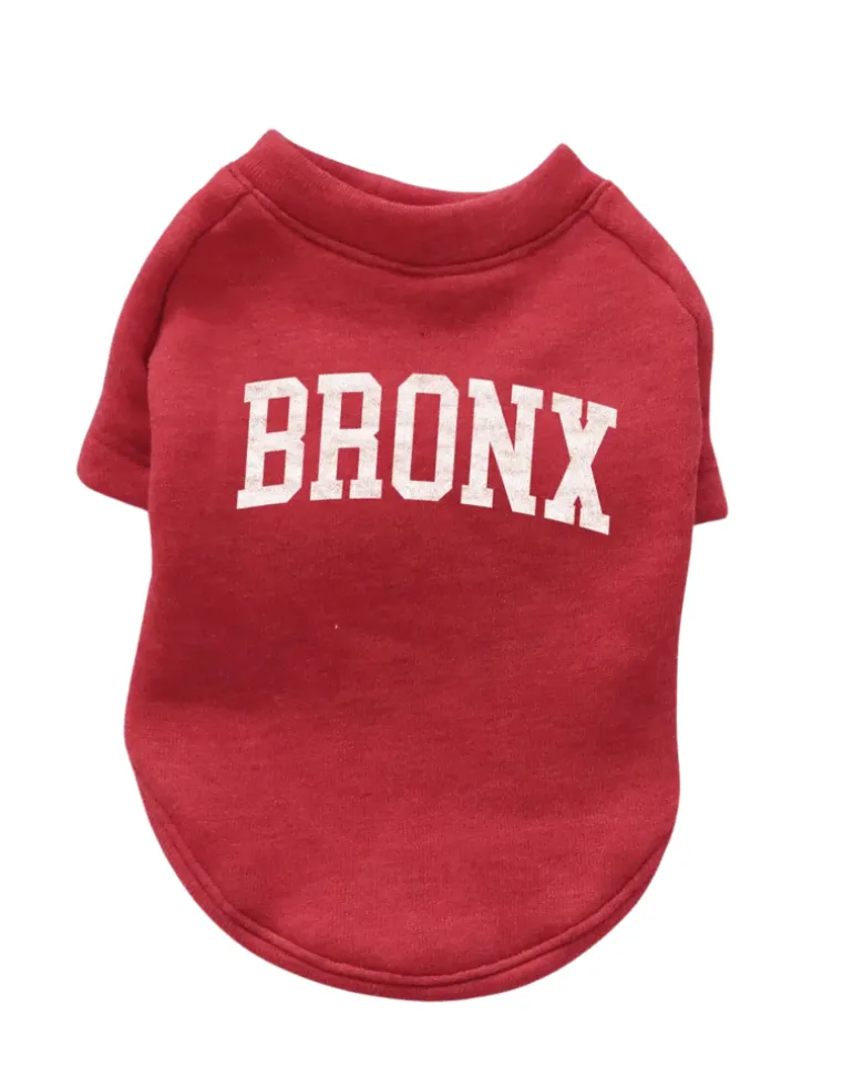 Bronx Dog Sweatshirt in Red