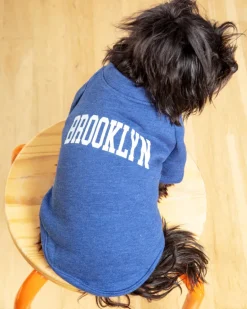 Brooklyn Dog Sweatshirt in Royal Blue Heather