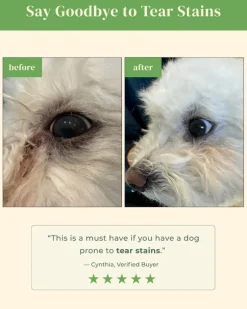 Brush on Me Pet Facial & Eye Comb