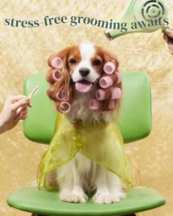 Brush on Me Pet Facial & Eye Comb
