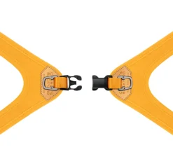 Buckle Up Easy Dog Harness in Black