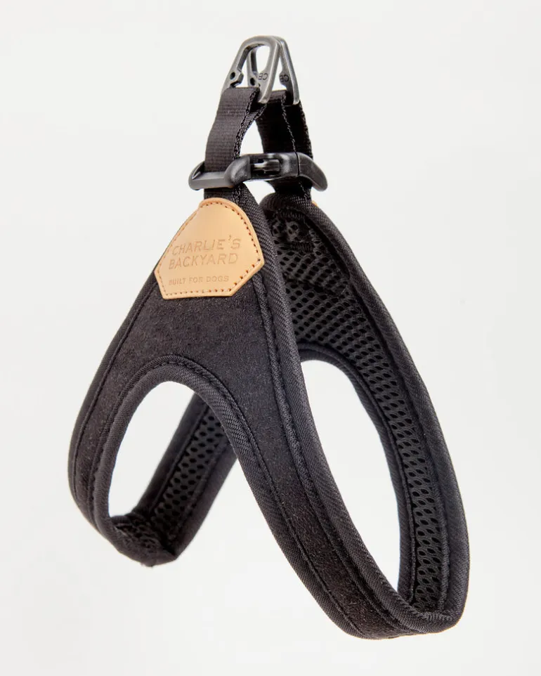 Buckle Up Easy Dog Harness in Black