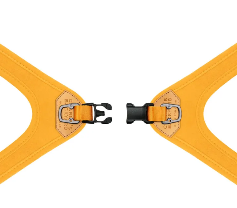 Buckle Up Easy Dog Harness in Gray
