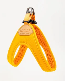 Buckle Up Easy Dog Harness in Yellow