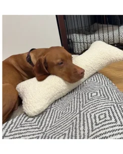 Bumper Bone Pillow