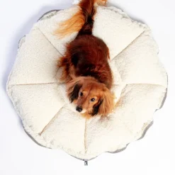Buttercup Bed (Direct-Ship)