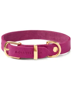 Butter Leather Dog Collar in Flamingo (Made in Austria)