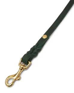 Butter Leather Dog Collar in Forest Green (Made in Austria)