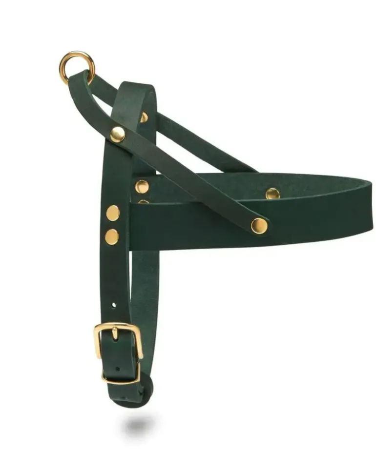 Butter Leather Dog Harness in Forest Green (Made in Austria)