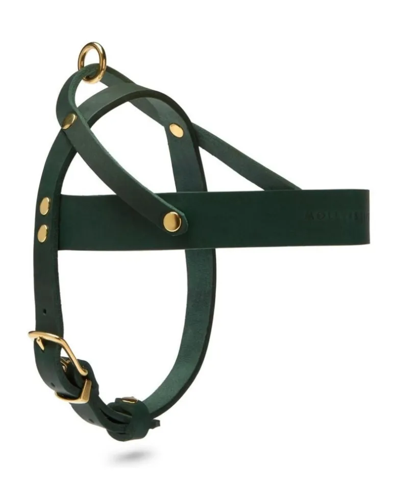 Butter Leather Dog Harness in Forest Green (Made in Austria)