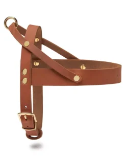 Butter Leather Dog Harness in Sahara Cognac (Made in Austria)