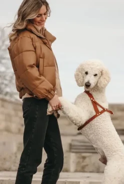 Butter Leather Dog Harness in Sahara Cognac (Made in Austria)