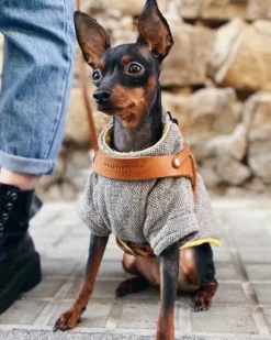 Butter Leather Dog Harness in Sahara Cognac (Made in Austria)
