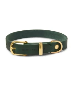 Butter Leather Dog Leash in Forest Green (Made in Austria)