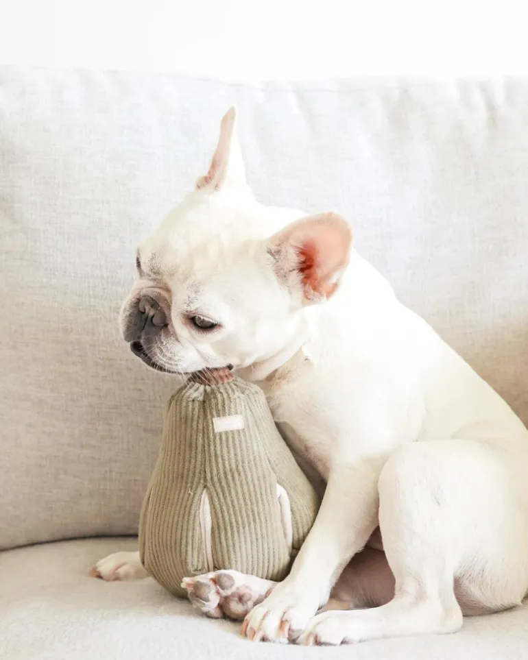 Butternut Squash Squeaky Nosework Interactive Dog Toy