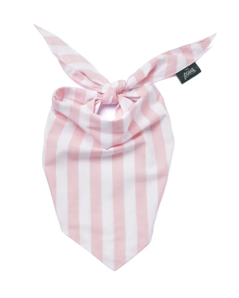 Cabana Blush Pink Dog Bandana