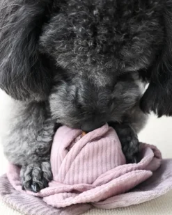 Cabbage Snuffle + Pop Plush Toy for Dogs