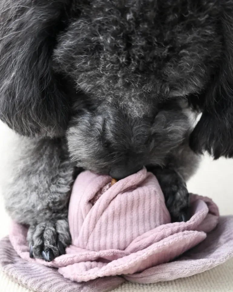 Cabbage Snuffle + Pop Plush Toy for Dogs
