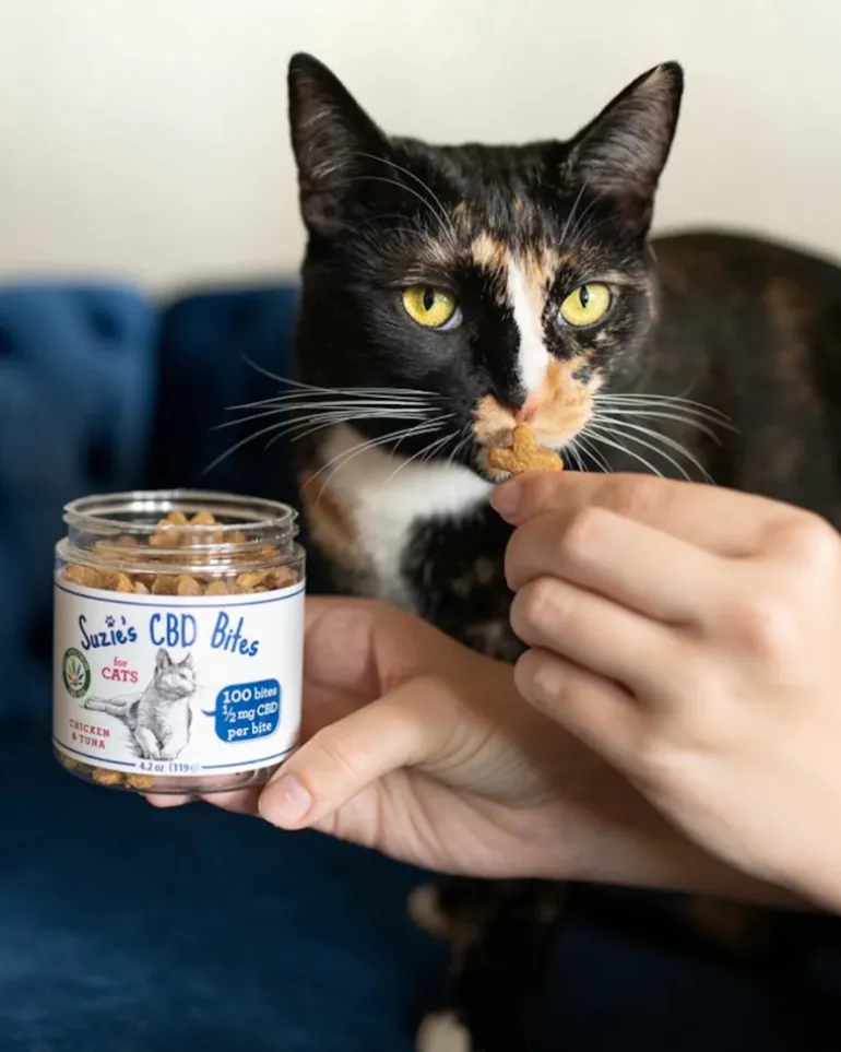 CBD Chicken & Tuna Cat Treats (1/2mg)