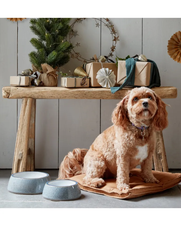 Ceramic Pet Bowl in Studio Grey (Made in England)
