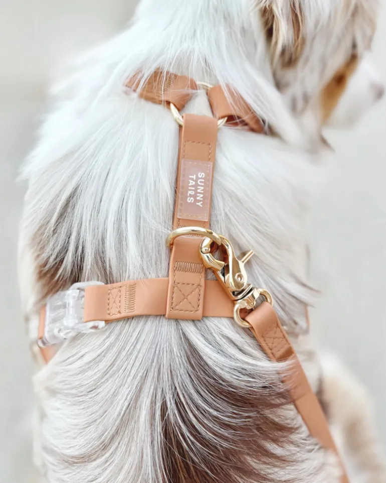 Chai Brown Cloud Lite Dog Harness