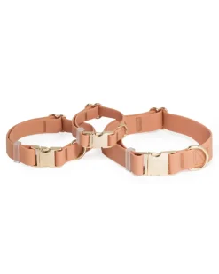 Chai Brown Waterproof Dog Collar