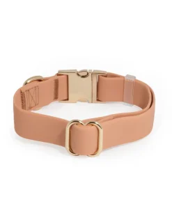 Chai Brown Waterproof Dog Collar