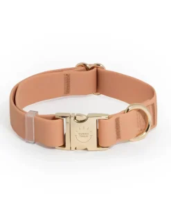 Chai Brown Waterproof Dog Collar