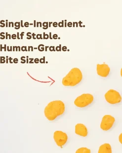 Cheddar Cheese Training Dog Treats
