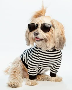 Cheeky Stripe Pullover in Black & White with Black Trim