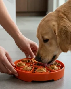Citrus Softie eTray Shallow Slow Feeder Dog Bowl (Made in the USA)