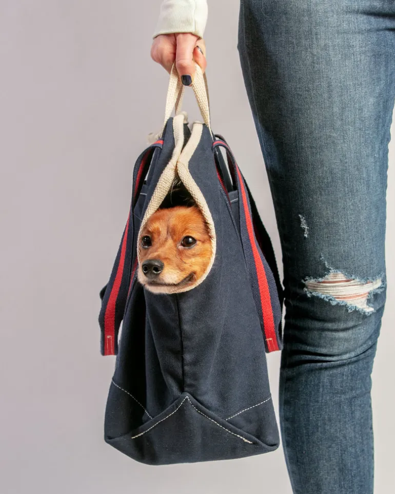 City Carrier Dog Bag in Size 2