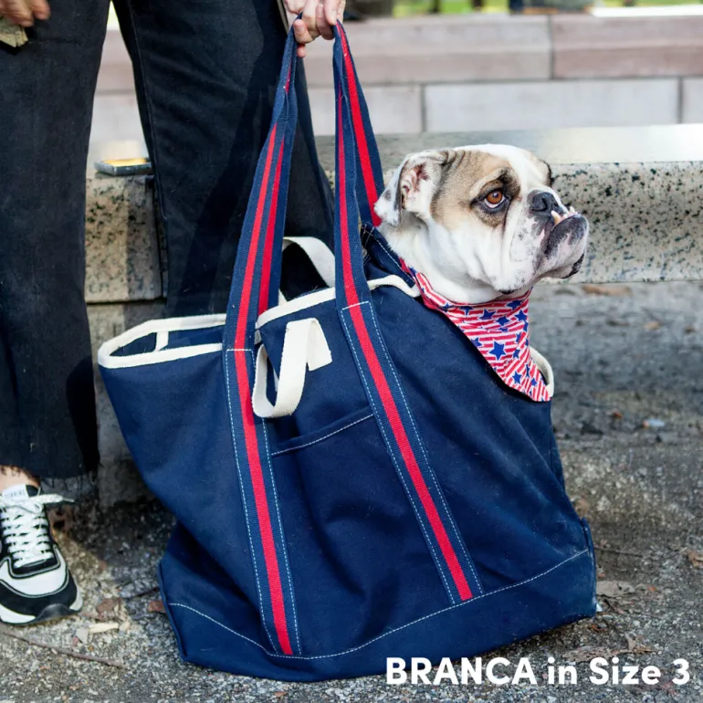 City Carrier Dog Bag in Size 3