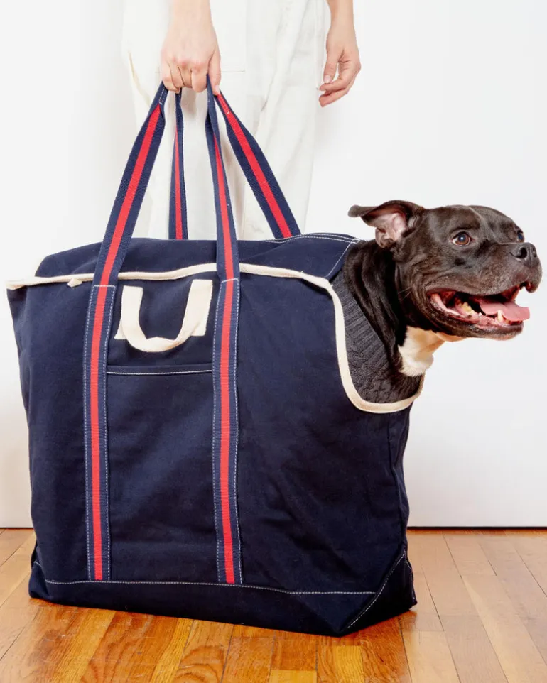 City Carrier Dog Bag in Size 4