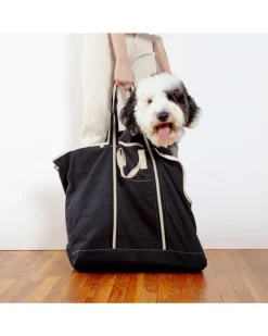 City Carrier Dog Bag in Size 4