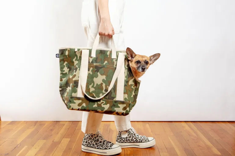 City Carrier Dog Bag in Size 4