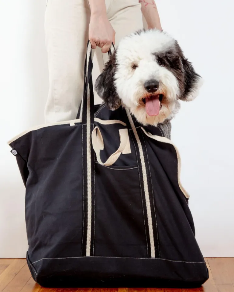 City Carrier Dog Bag in Size 4