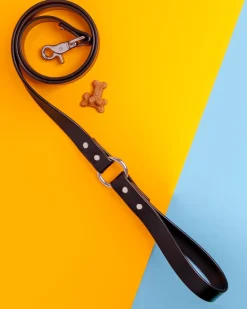 City Leash in Basic Black (Made in the USA)