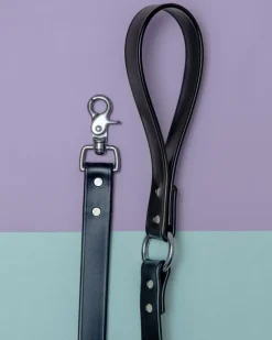 City Leash in Basic Black (Made in the USA)