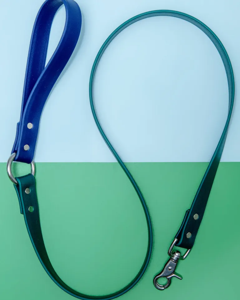 City Leash in Hunter Green & Navy (4 or 6 Foot) (Made in the USA)