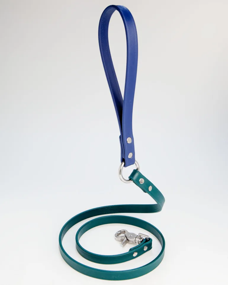 City Leash in Hunter Green & Navy (4 or 6 Foot) (Made in the USA)