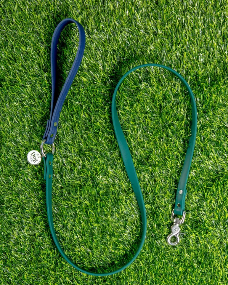 City Leash in Hunter Green & Navy (4 or 6 Foot) (Made in the USA)