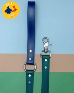 City Leash in Hunter Green & Navy (4 or 6 Foot) (Made in the USA)