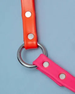 City Leash in Neon Pink & Neon Orange (4 or 6 Foot) (Made in the USA)